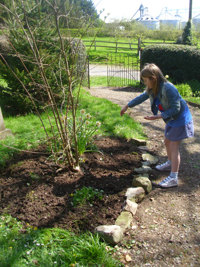 Lydia Baggott planting poppy seeds. They are special "flanders poppy seeds" with donations from every packet sold going to the Royal British Legion.